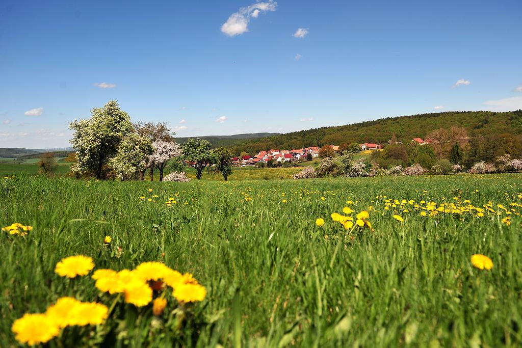 Landhotel Zur Gruenen Kutte Bernshausen Exterior foto