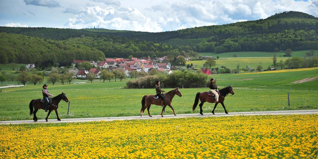 Landhotel Zur Gruenen Kutte Bernshausen Exterior foto